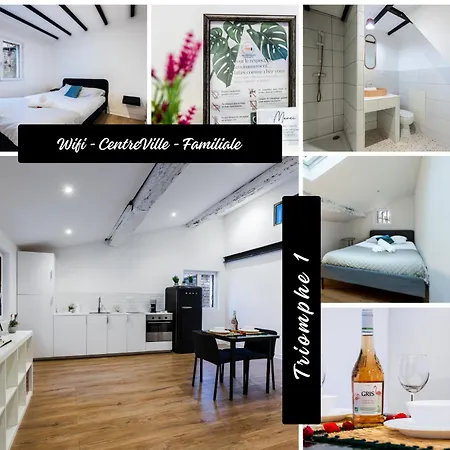 Triomphe 1-wifi-centreville-familiale- Prosconciergerie Montpellier