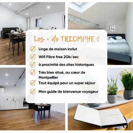 아파트 Triomphe 1-wifi-centreville-familiale- Prosconciergerie 몽펠리에