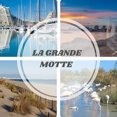 Triomphe 1-wifi-centreville-familiale- Prosconciergerie