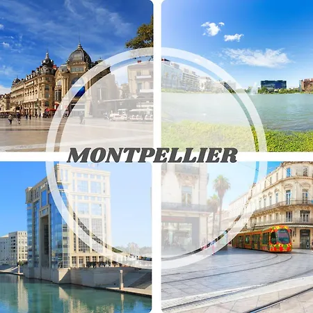 Triomphe 1-wifi-centreville-familiale- Prosconciergerie Montpellier