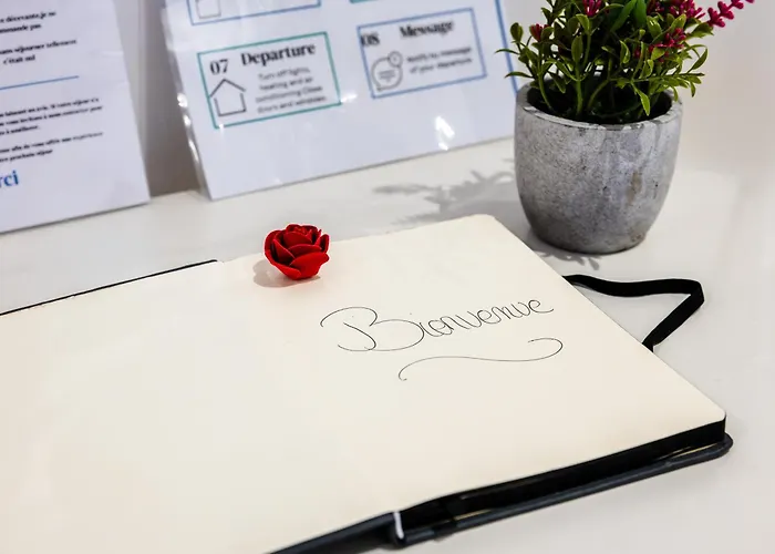 Triomphe 1-wifi-centreville-familiale- Prosconciergerie Montpellier