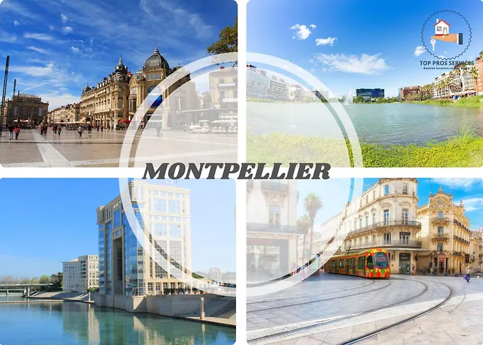 Triomphe 1-wifi-centreville-familiale- Prosconciergerie Montpellier